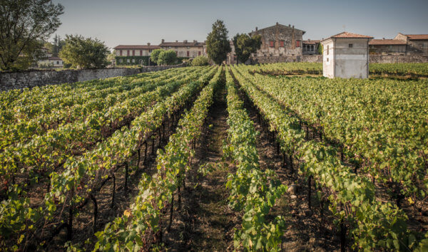 wineries in Franciacorta